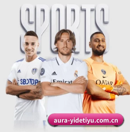 五大服务分区,信息按项目分类 | YIDESPORTS