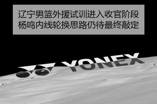 辽宁男篮外援试训进入收官阶段 杨鸣内线轮换思路仍待最终敲定 - YIDESPORTS